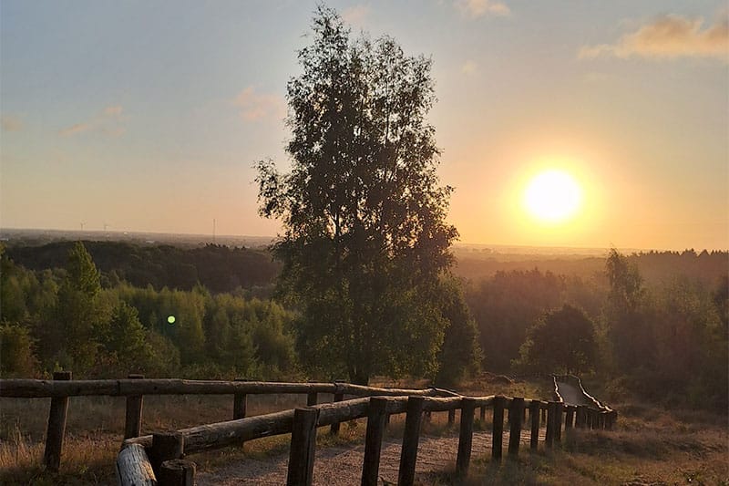 Summerbody Project - Nexxt Moves Veenendaal